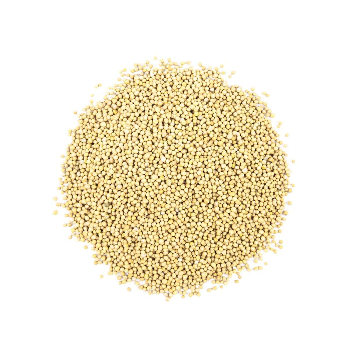 Gorczyca biała ziarno. 500g