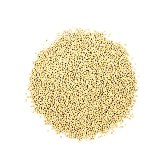 Gorczyca biała ziarno. 500g